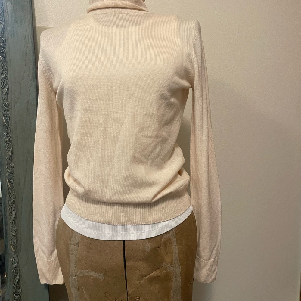 GAP Italian Merino Wool Turtleneck Sweater